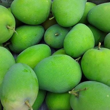 Common Vitamin A, C And Dietary Fiber Tangy Taste Green Raw Mango