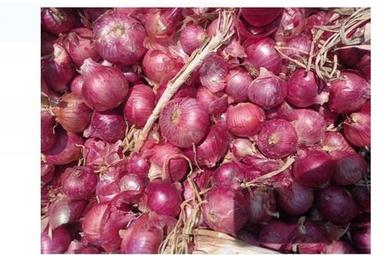 Fresh And Organic Red Color Onion With High Nutritious Values