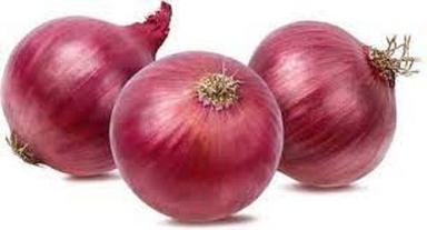 100 % Fresh Healthy And Tasty Organic Harvested And Fresh Red Onion  Moisture (%): 20