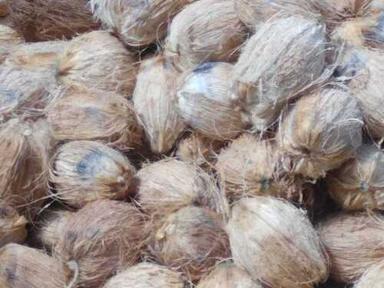 स्वाद से भरपूर 100% प्राकृतिक रसायन मुक्त ताजा नारियल तेल आवेदन: घर
