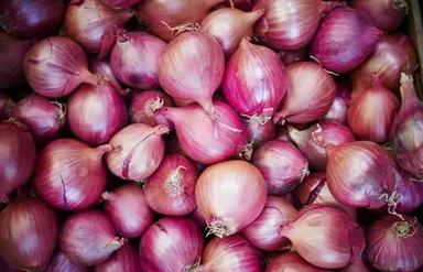 A Grade And Indian Origin Red Fresh Onion,Used In Cooking And Salads Moisture (%): 86%