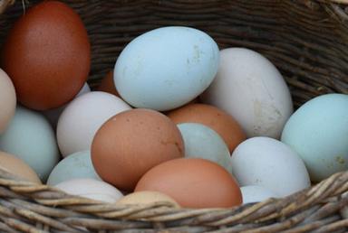 70 Grams, 2.5 Ounces Farm Fresh Duck Eggs Shelf Life: 2 Week