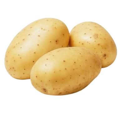 Oval Wholesale Price 100% Original And Pure Pahadi Potato With Rich Source Of Carbohydrate