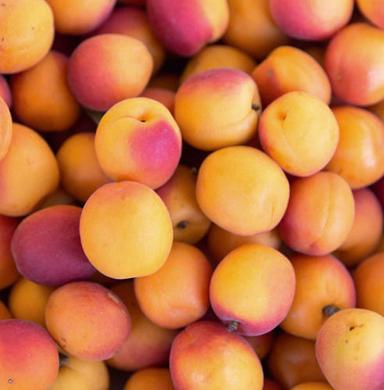 Round A Grade Organic And Fresh Natural Apricot Fruit For Food, Juice, Total Fat 0.4G 