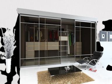 Stainless Steel Mr Grade Pure Designer Glass Finish Modular Plywood Wardrobe