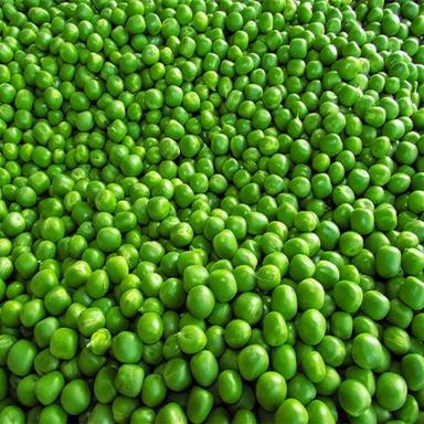 100 Percent Fresh And Natural Pure Organic Round Fresh Green Pea Seeds  Admixture (%): 11%
