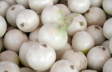 A Grade Round Pure And Fresh Raw Whole Organic White Onion  Shelf Life: 3 Week