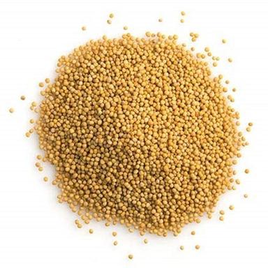 100 Percent Fresh Healthy And Natural No Added Preservative Mustard Seeds Admixture (%): 2%
