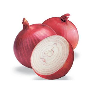 Round Wholesale Price Export Quality Red Onion For Vegetables With 7% Moisture