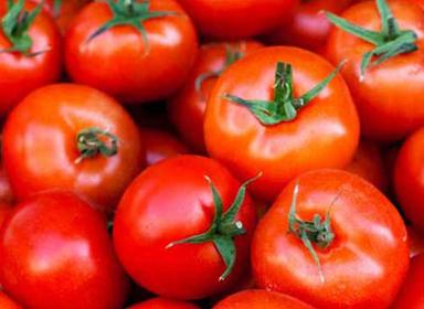 Pure And Natural Round Whole Raw Fresh Tomato Moisture (%): 92%