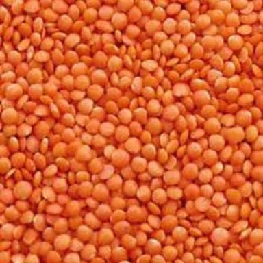 Pure And Fresh Excellent Quality With No Artificial Polishing Masoor Dal  Broken (%): 1