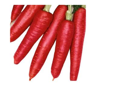  100% ताजा लाल गाजर की सब्जी, पैकेजिंग का आकार 50 किलोग्राम, हृदय रोग को रोकने में मदद करता है नमी (%): 86% 