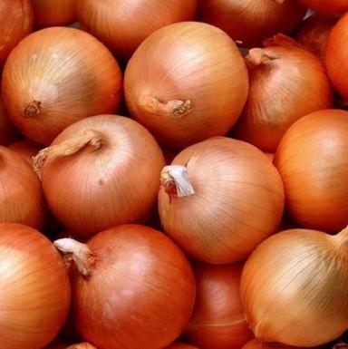 A Grade Pure And Dried Round Natural Brown Raw Onion  Moisture (%): 10%