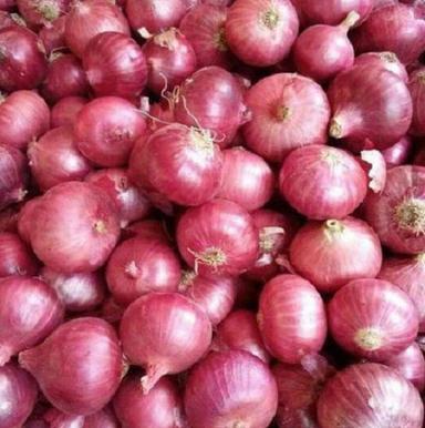 Pure And Natural A Grade Fresh Raw Whole Red Onion  Moisture (%): 98%