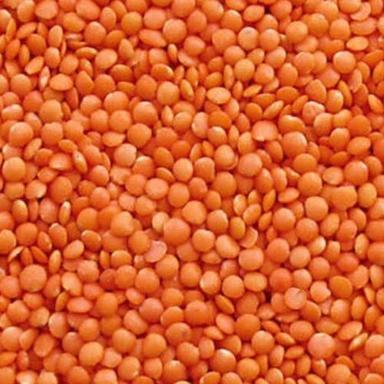 Common  Natural Rich In Protein Fibre Healthy And Tasty Red Lentils Masoor Dal
