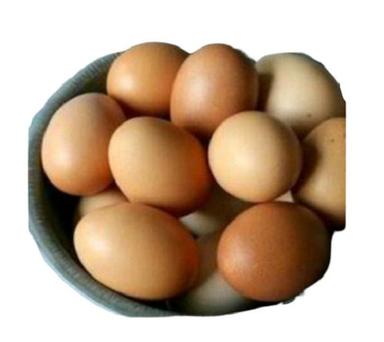 30 से 35 ग्राम वजन के ताजे भूरे कड़कनाथ अंडे उच्च पौष्टिक मूल्य वाले अंडे की उत्पत्ति: मुर्गी