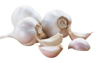 Whole And Fresh No Added Preservatives Raw Garlic For Cooking Moisture (%): 1.89%