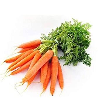 Long High Vitamins Antioxidants Healthy Fresh Root Vegetables Orange Carrot 