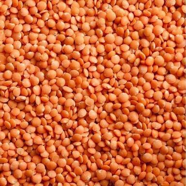 Healthy And Energetic Natural Foods Red Split Masoor Lentils Origin: India