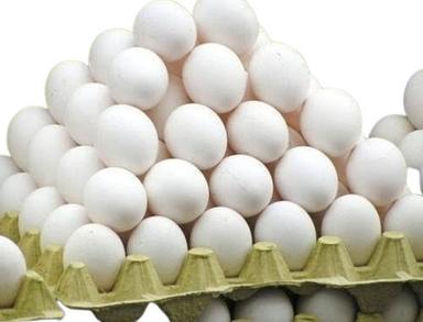 Blue  White Protein Fresh Egg Good For Health