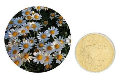 Chamomile Extract For Making Herbal Health Products Room Temperature