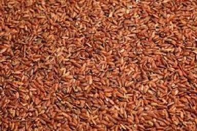 Pure Organic And No Artificial Flavour A Grade Long Grain Red Rice Broken (%): 0%