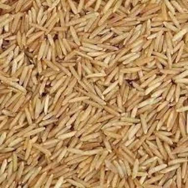 Indian Origin 100% Pure Dried Long Grain Brown Basmati Rice Admixture (%): 1%