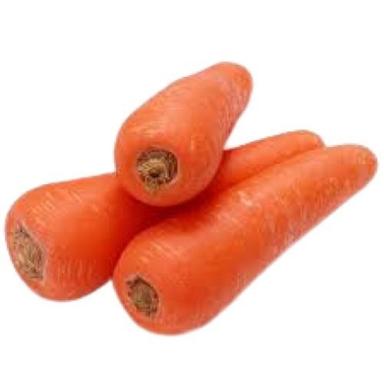 Fresh Red Carrot Moisture (%): 87.5%