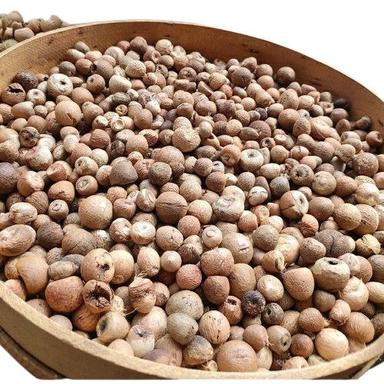 Brown Rich In Protein Vitamins And Minerals Dried Areca Nuts