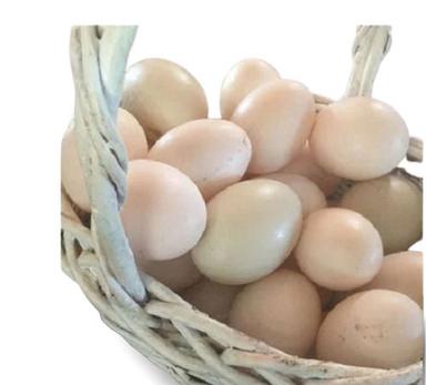 Eggs 65 Mm Hatching Variety Fresh Country Duck Egg, 70 Grams Weight