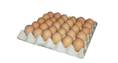 Yellow 50 Gram Weighted Fresh Brown Egg With Pack Of 30 Pieces