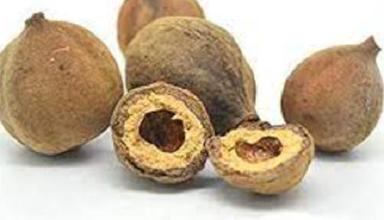 Herbal Product Pure And Natural A Grade Herbs Extract Dried Raw Terminalia Bellirica
