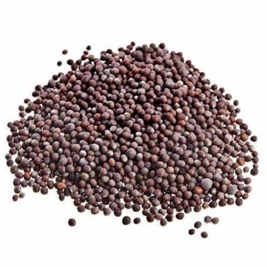 Common Health Promoting Anti Oxidant Dried Natural Black Sarson/Mustard Seeds