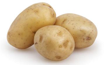 High In Fiber And Rich Source Of Carbohydrate Raw Fresh Potato 