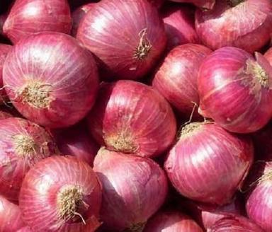 Raw Fresh Onion