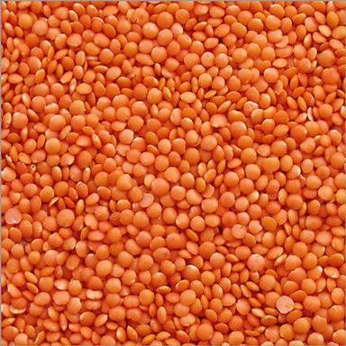 100% Pure And Natural Indian Originated Masoor Dal, Shelf-Life Up To 1-2 Years Gender: Women