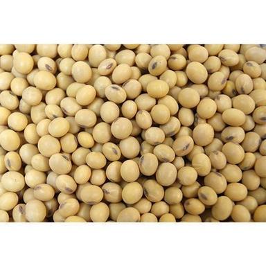 Pure And Organic Yellow Natural Soybean Seeds, High In Protein Admixture (%): 0.6%