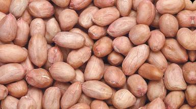 Commonly Cultivated A Grade Pure And Natural Dried Peanut Kernel 