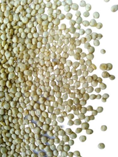 99% Pure Natural And Organic Sunlight Dried Quinoa Seeds Admixture (%): 0.25%