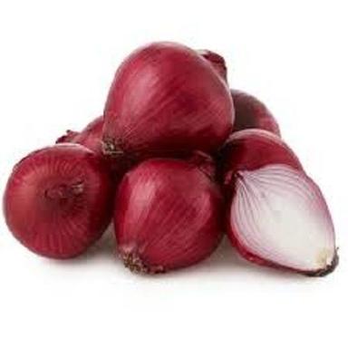Oval Shape Naturally Grown Fresh Red Onion Shelf Life: 1 Week
