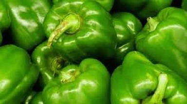 100% Healthy And Naturally Grown Round Shape Fresh Green Capsicum