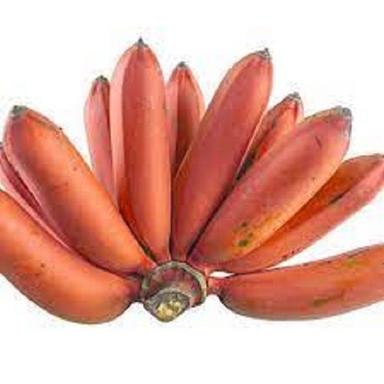 Naturally Grown Indian Origin And Curved Shape Sweet Red Banana 