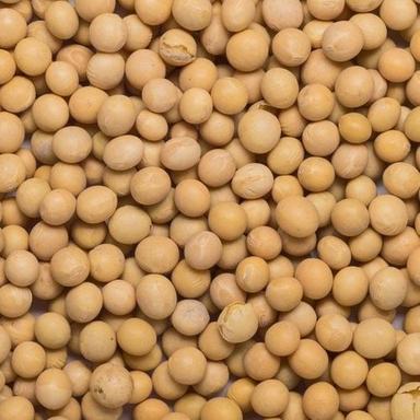 A Grade 99%Pure 16%Moisture Healthy Natural Dried Round Soya Bean Broken Ratio (%): 2%