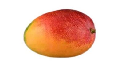 Common Oval Shape Yellow Sweet Taste Farm Fresh Mango
