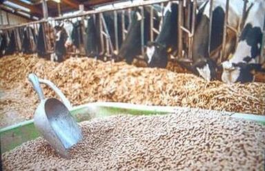 90% Moisture Cattle Feed With Packaging Size 25 Kg
