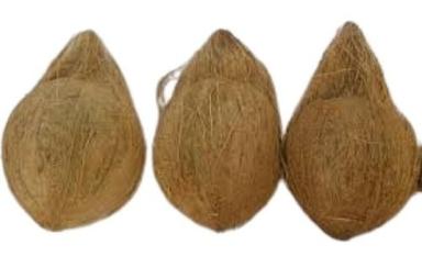 ब्राउन फुल हस्केड होल ड्राइड 1 किलो आमतौर पर खेती किया जाने वाला टेस्टी फार्म फ्रेश नारियल 
