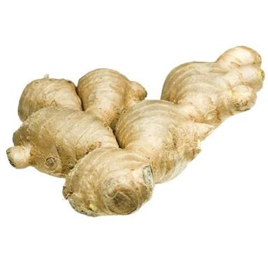 Healthy And Naturally Grown Fresh Ginger Moisture (%): 63%