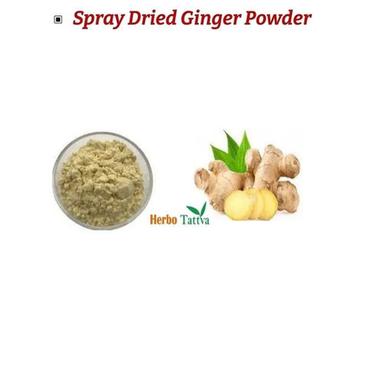100% Pure No Additive Light Brown Spray Dried Ginger Powder Shelf Life: 2 Years