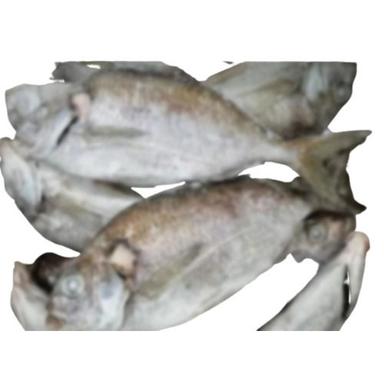 Frozen Hawkfish Wr Fish Processing Type: Smoked