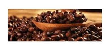 Antioxidant Common Cultivated A Grade 99.9% Pure Dried Cocoa Coffee Beans  Processing Type: Fresh